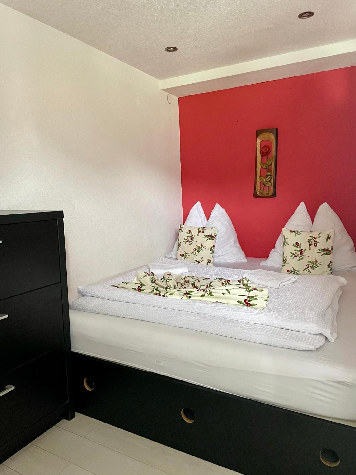 Červený Kláštor Apartmany Pod Troma Korunami מראה חיצוני תמונה